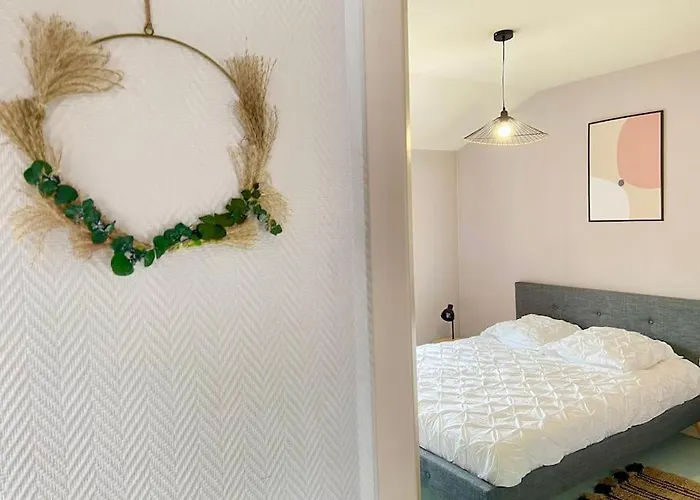 Le Cathedrale,t3 En Plein Centre De Poitiers